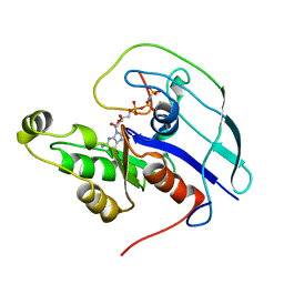 BU of 1cf4 by Molmil