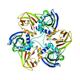 BU of 1cjd by Molmil