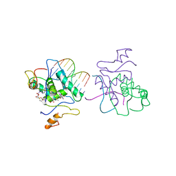 BU of 1cma by Molmil