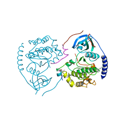 BU of 1ctp by Molmil