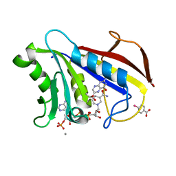 BU of 1dr6 by Molmil