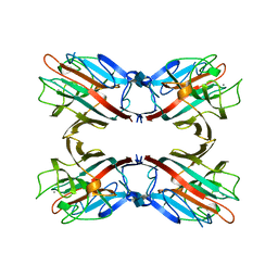 BU of 1fat by Molmil