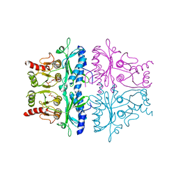 BU of 1fbc by Molmil