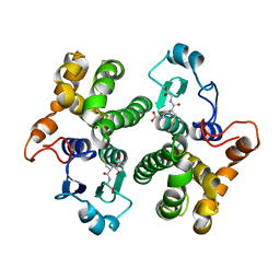 BU of 1hnb by Molmil