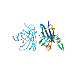 BU of 1ibd by Molmil