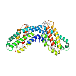 BU of 1ktp by Molmil