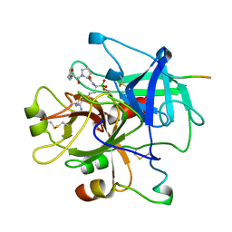 AU of 1lhc by Molmil