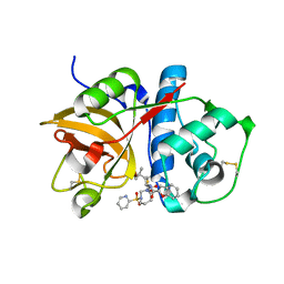 BU of 1nlj by Molmil