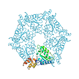 BU of 1nsf by Molmil