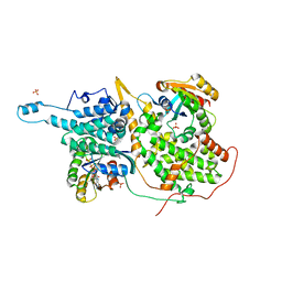 BU of 1nvv by Molmil