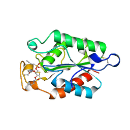 BU of 1oxm by Molmil