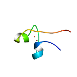 BU of 1pyc by Molmil