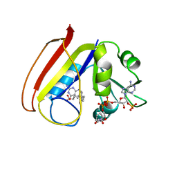 AU of 1rc4 by Molmil