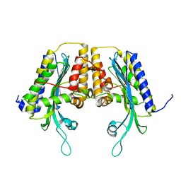 BU of 1tkl by Molmil