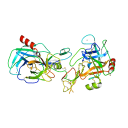 BU of 1tx6 by Molmil