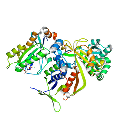 BU of 1ukv by Molmil