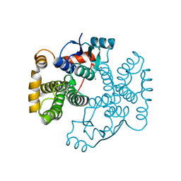 BU of 1vf1 by Molmil