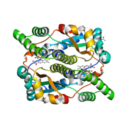 BU of 1ylu by Molmil