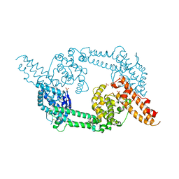 BU of 1zrl by Molmil