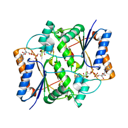 BU of 1zx1 by Molmil