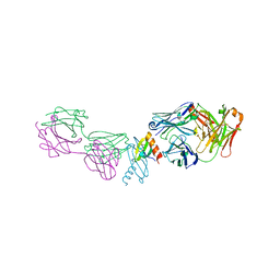 BU of 2bdn by Molmil