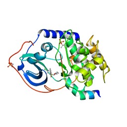 BU of 2c1a by Molmil