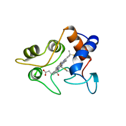 BU of 2cxb by Molmil