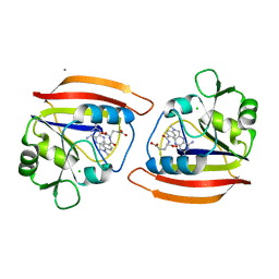 BU of 2drc by Molmil