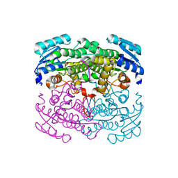 BU of 2dtx by Molmil