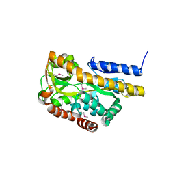 BU of 2hpg by Molmil