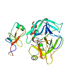 BU of 2hpp by Molmil