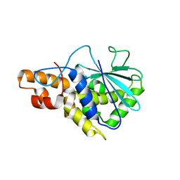 BU of 2pqi by Molmil