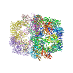 BU of 2uv8 by Molmil