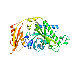 BU of 3cmq by Molmil