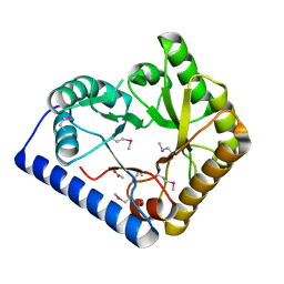 BU of 3cpg by Molmil