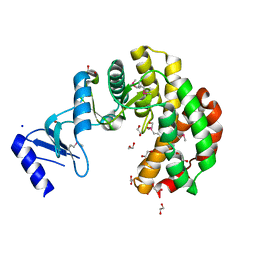 AU of 3csv by Molmil