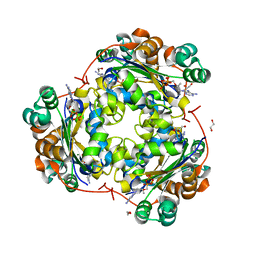 BU of 3fkb by Molmil