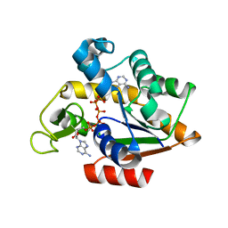 BU of 3hpq by Molmil