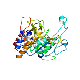 BU of 3lpd by Molmil