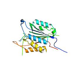 BU of 3pd1 by Molmil