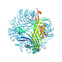 BU of 3pku by Molmil