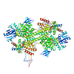 BU of 3pla by Molmil