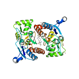 BU of 3rn8 by Molmil