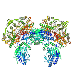 AU of 3seq by Molmil