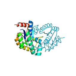 BU of 3trf by Molmil