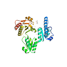 BU of 3trp by Molmil