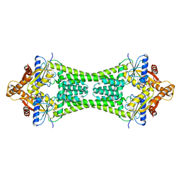 BU of 3ug6 by Molmil