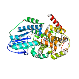 BU of 3umv by Molmil