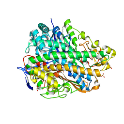 BU of 3use by Molmil