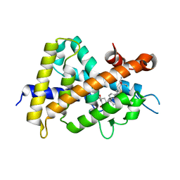 BU of 3vt5 by Molmil